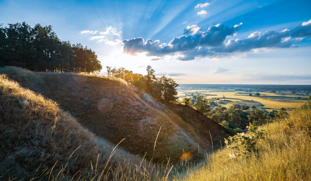 Ranking firm tworzących strony www w Rybniku 2025: cennik, portfolio, opinie i wskazówki dla małych firm