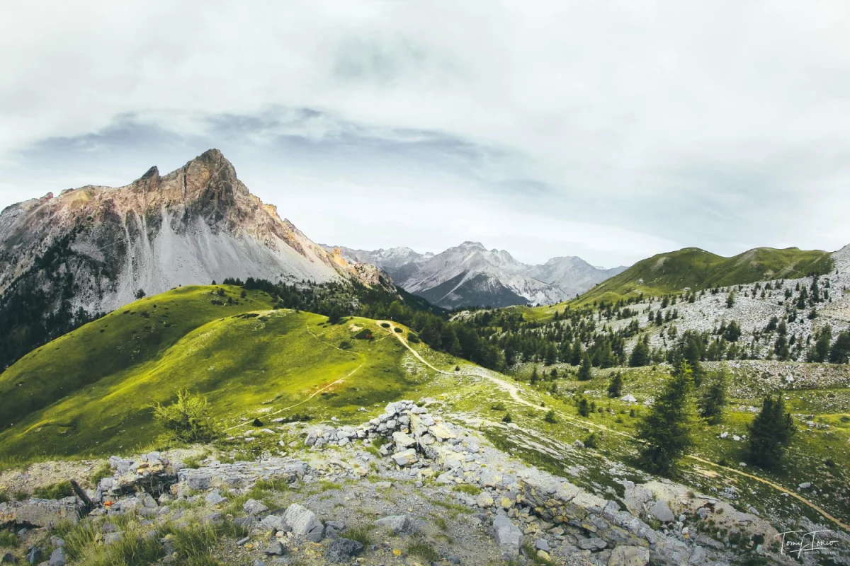 Krok Po Kroku Instrukcja Aby leczyć dzieci