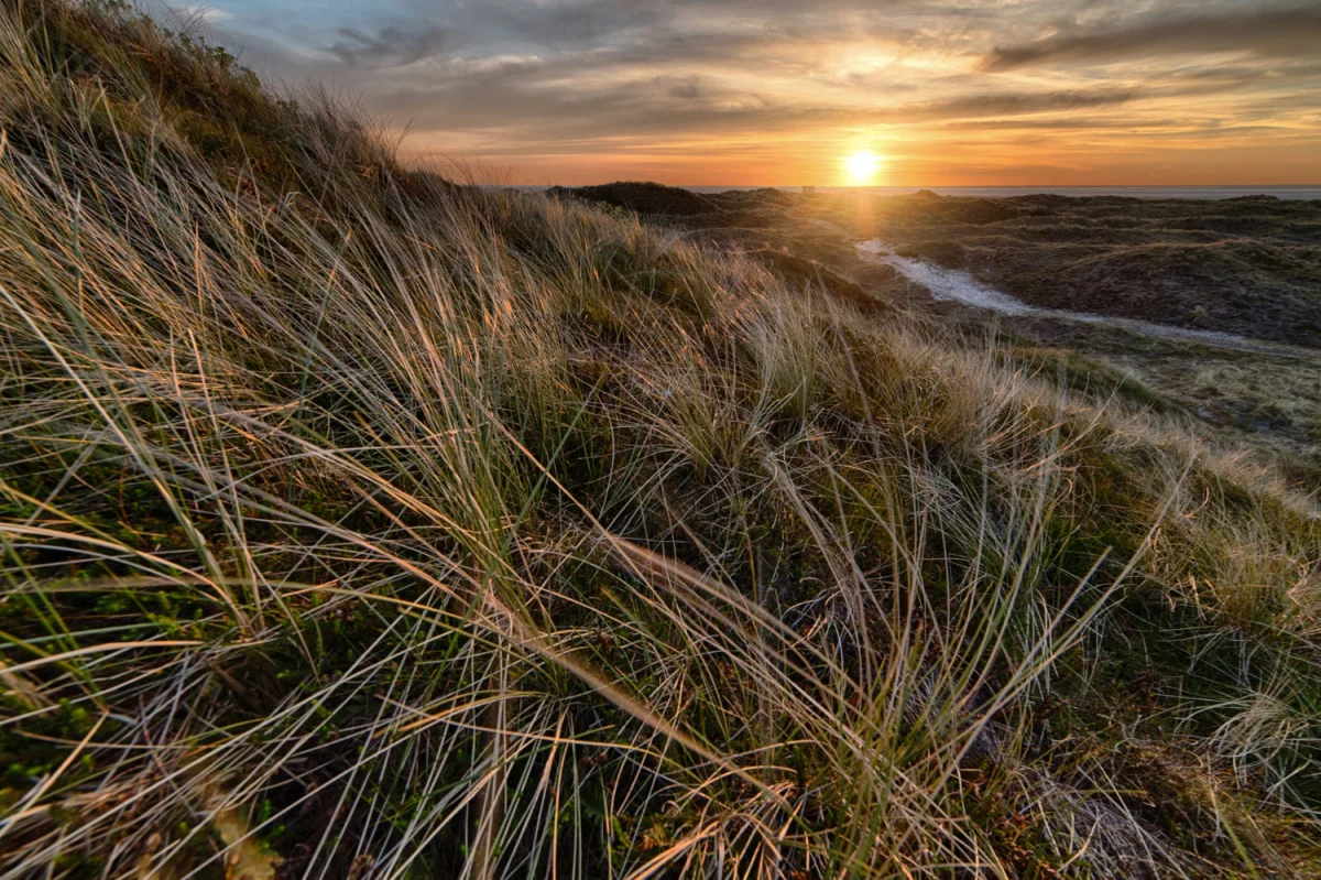 Temat dnia: olejki kosmetyczne
