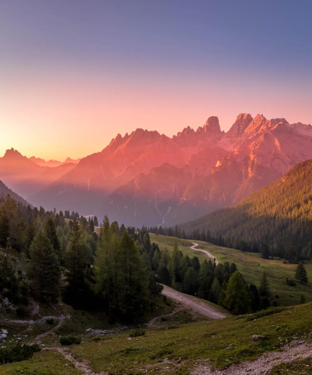 Po co i dlaczego warto jeść roslinnie