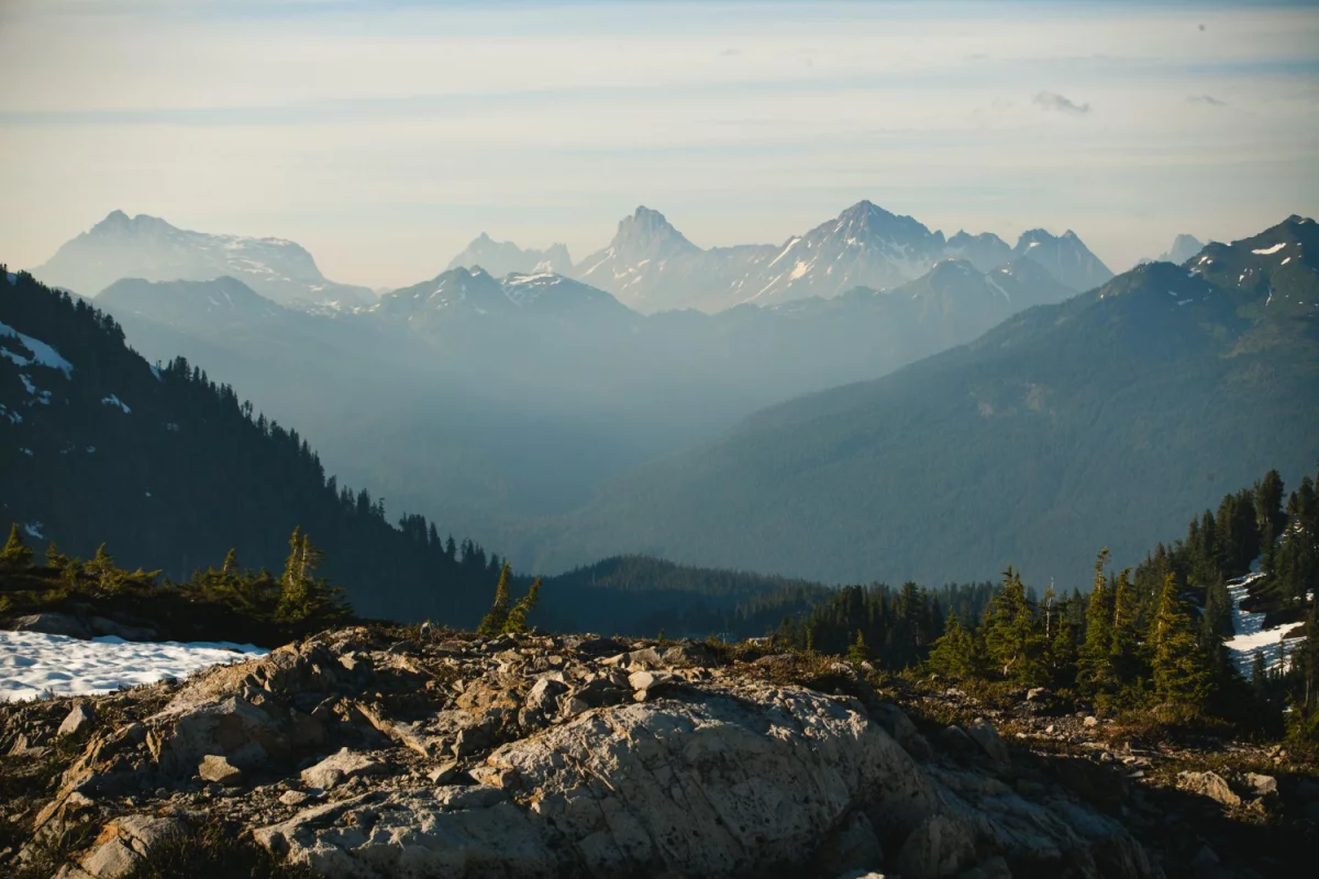 Nie Czytaj Tego Jeśli NIE Chcesz kupić wyposażenie domu