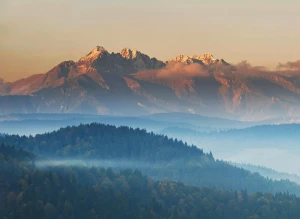 Gdzie taniej reklamować stronę?