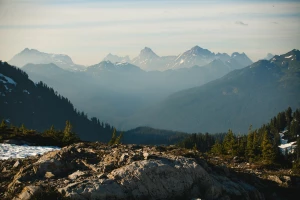 Czy są zmiany w prawie jak reklamować firmę?
